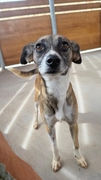 LILA Image 1